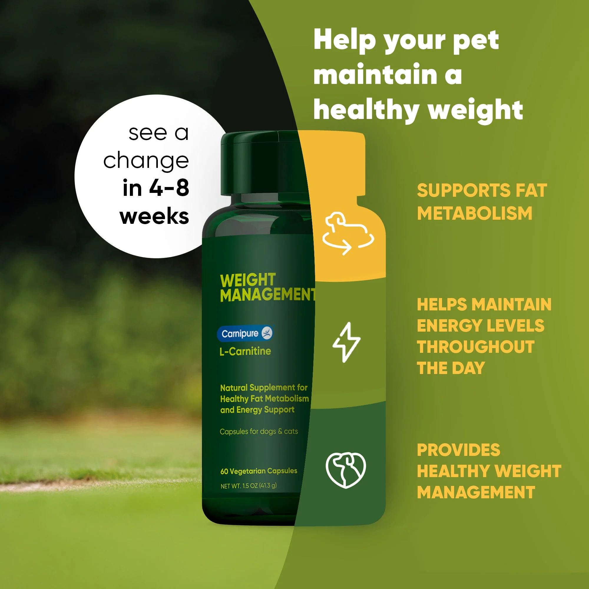 Weight Management - Image 3