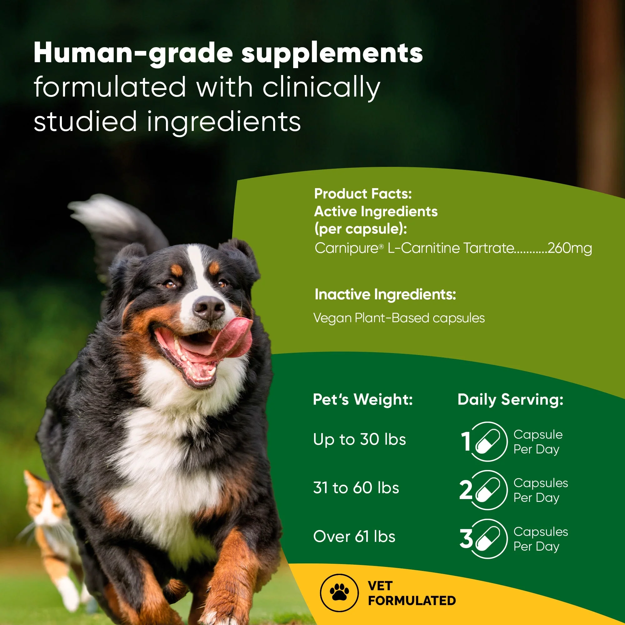 Weight Management - Image 9