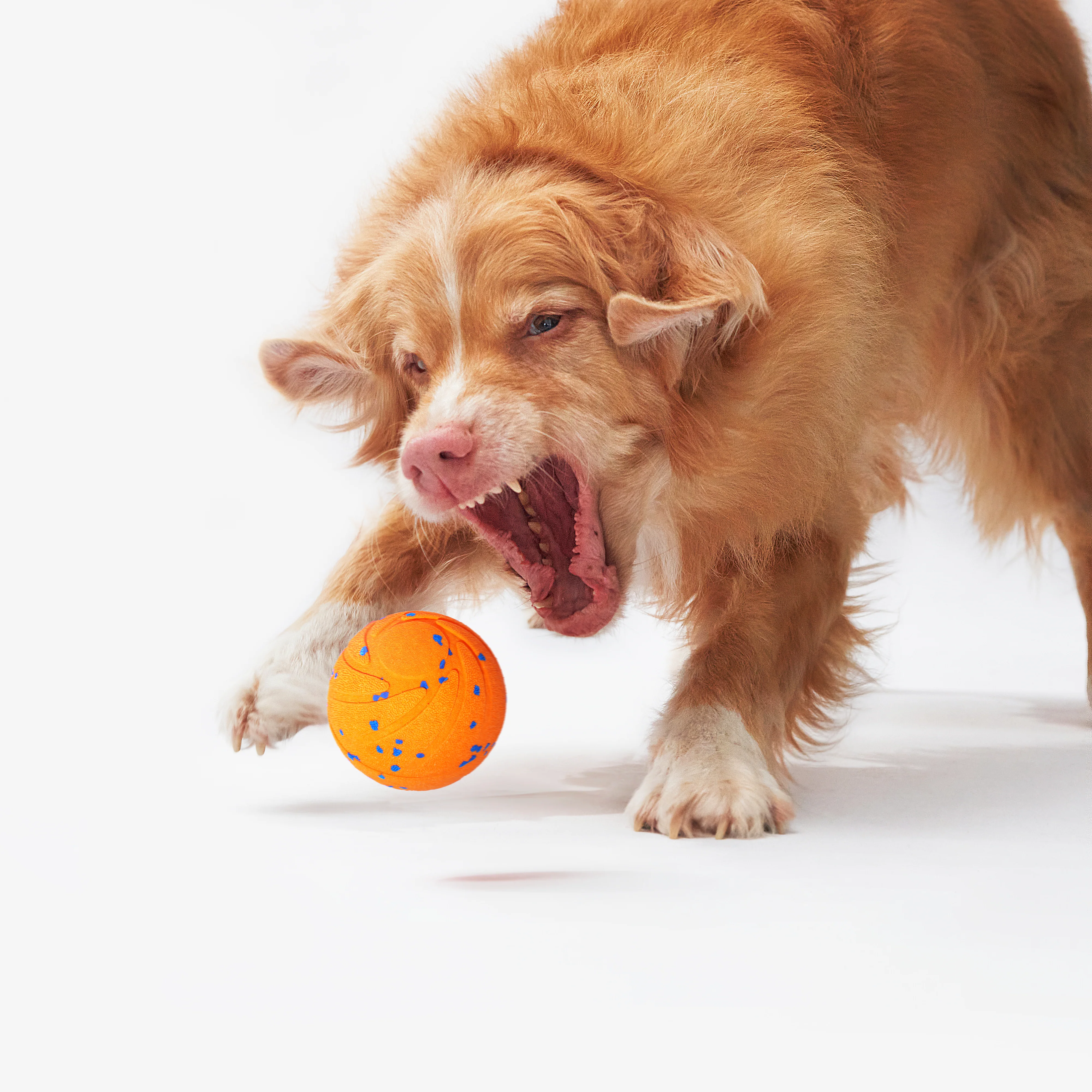 Wicked Ball Air - Image 6