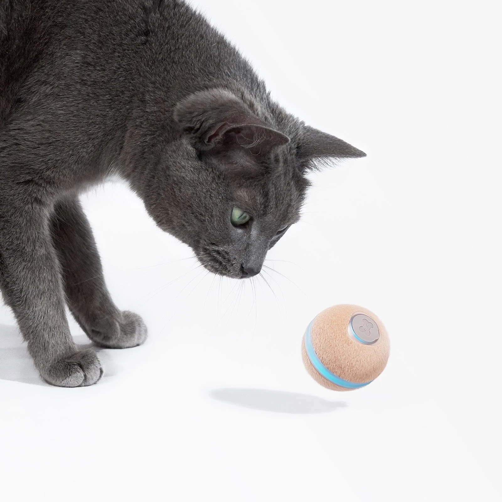 Wicked Ball M3 - Image 6