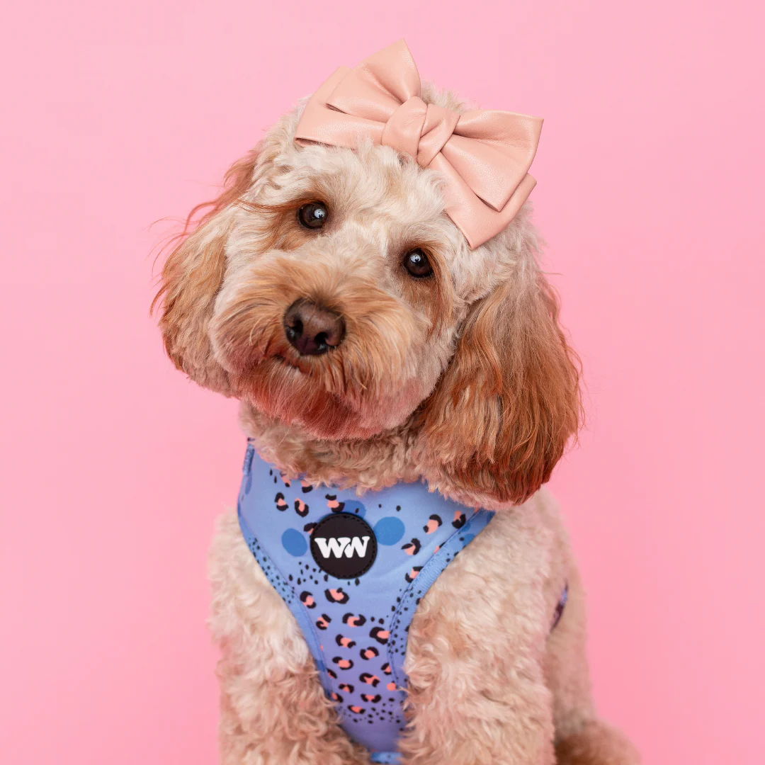 Wild Periwinkle Adjustable Harness - Image 2