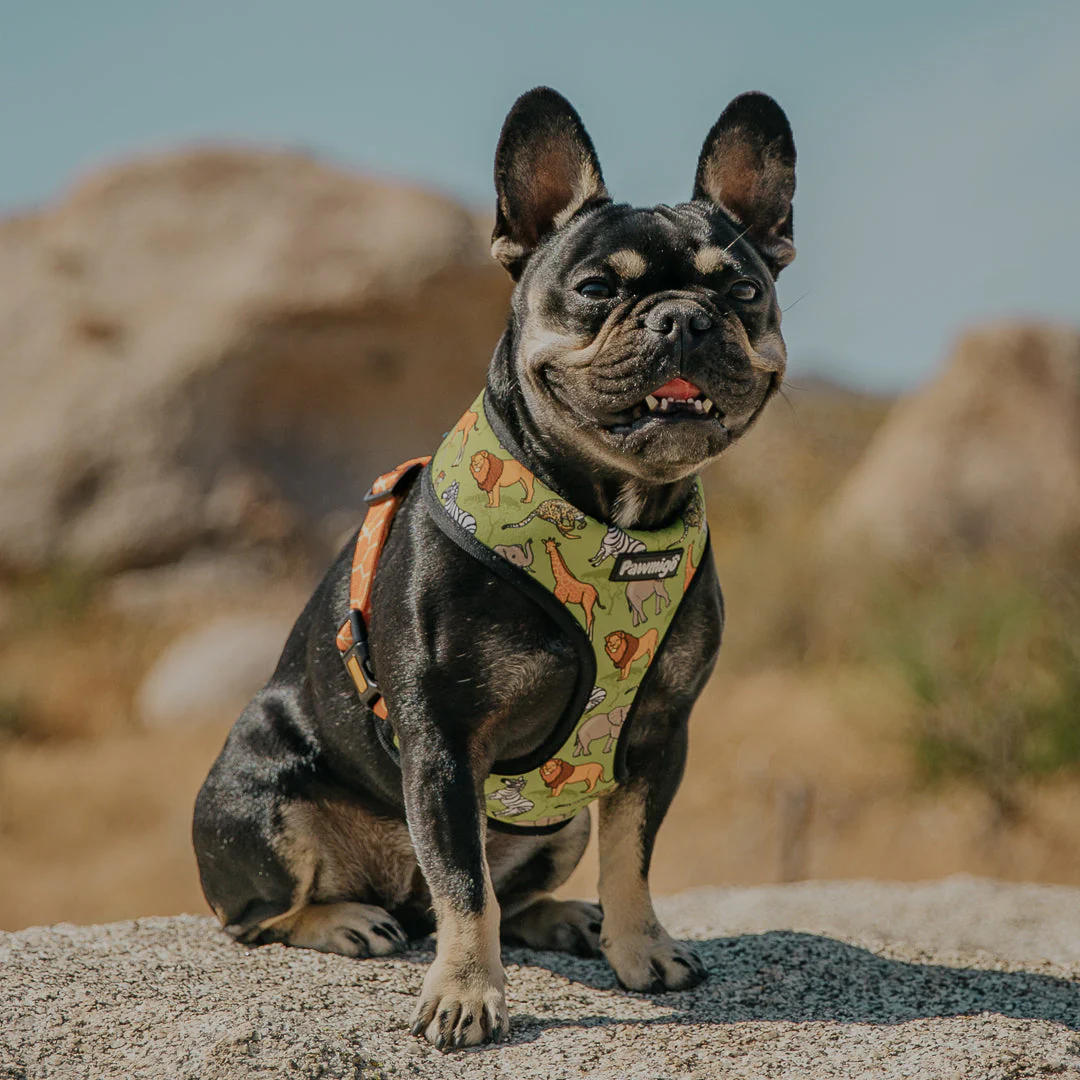 Wild Thing Reversible Harness - Image 2