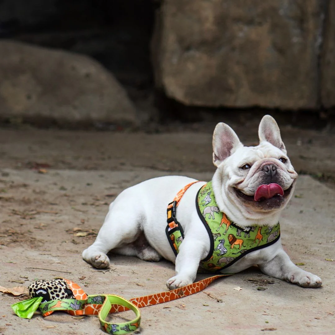 Wild Thing Reversible Harness - Image 5