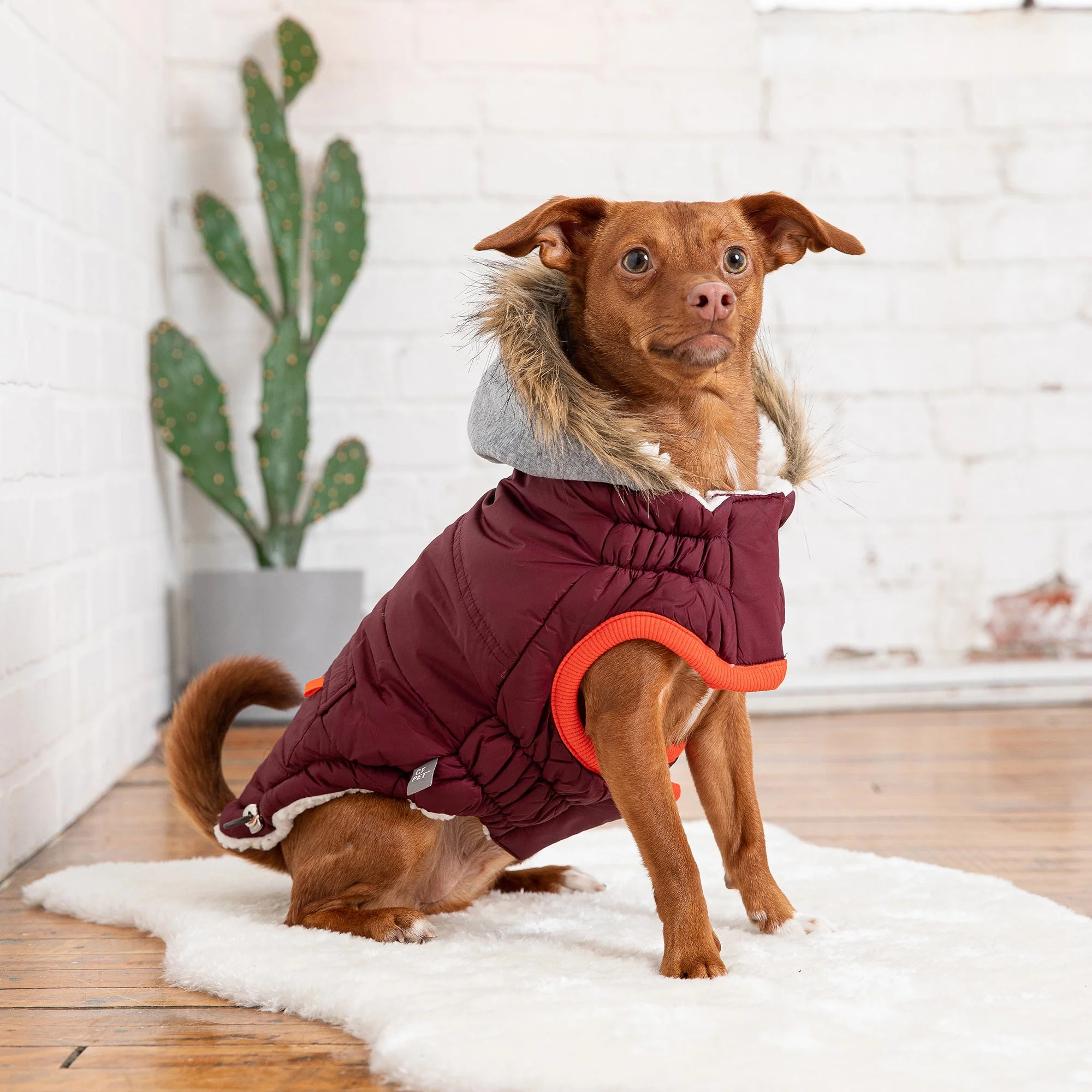 Winter Sailor Parka - Burgundy - Image 4