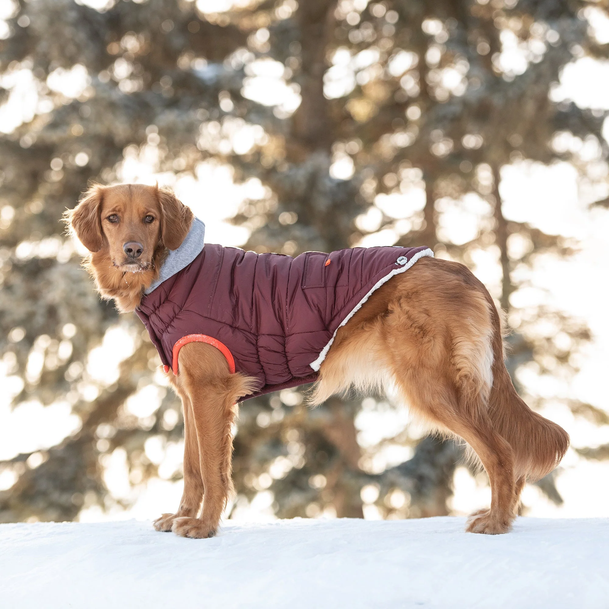 Winter Sailor Parka - Burgundy - Image 5