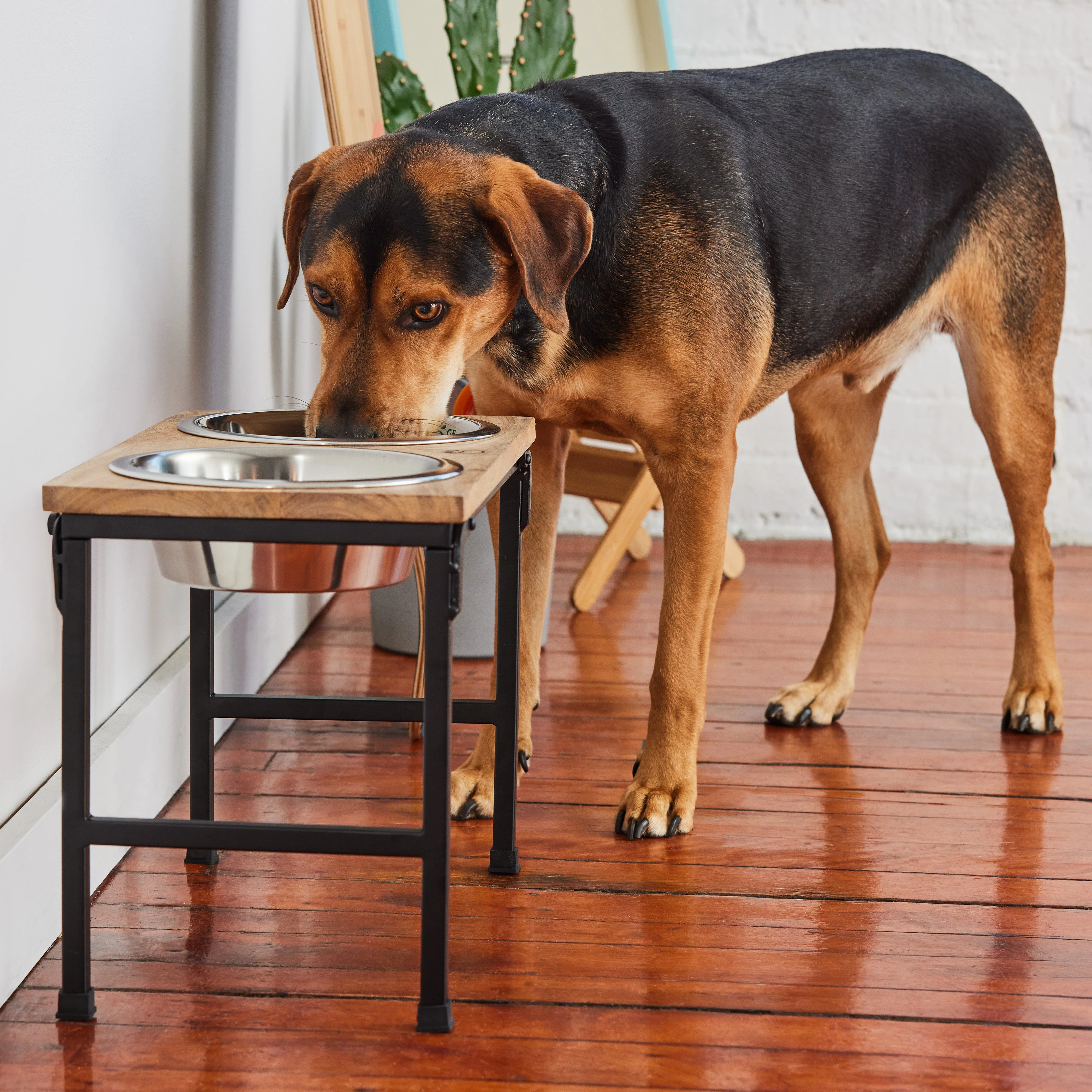 Wood & Metal Elevated Feeder - Image 11
