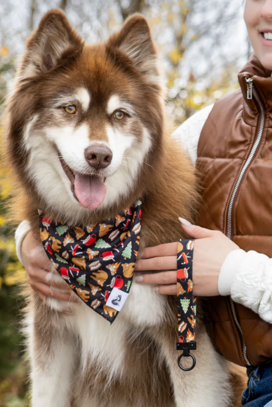 Woodland Tales Dog Bandana & Matching Keychain - Image 2