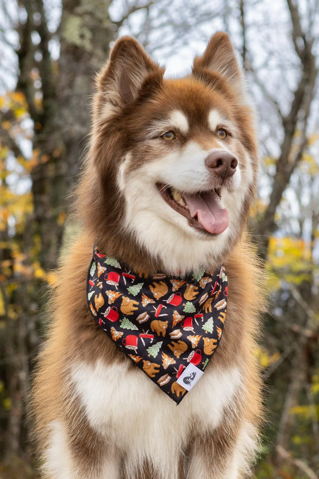 Woodland Tales Dog Bandana & Matching Keychain - Image 3