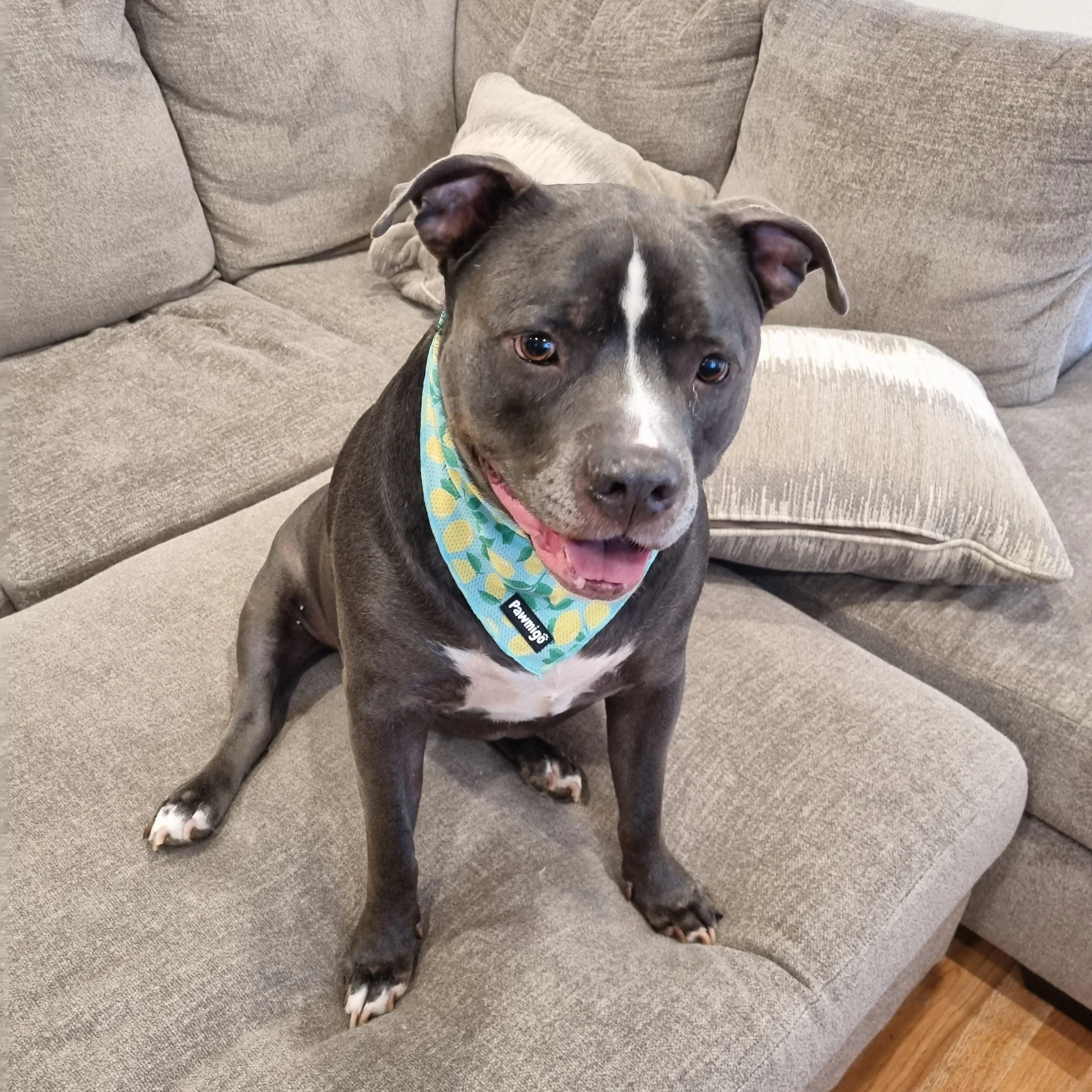 Worth The Squeeze Cooling Bandana - Image 2