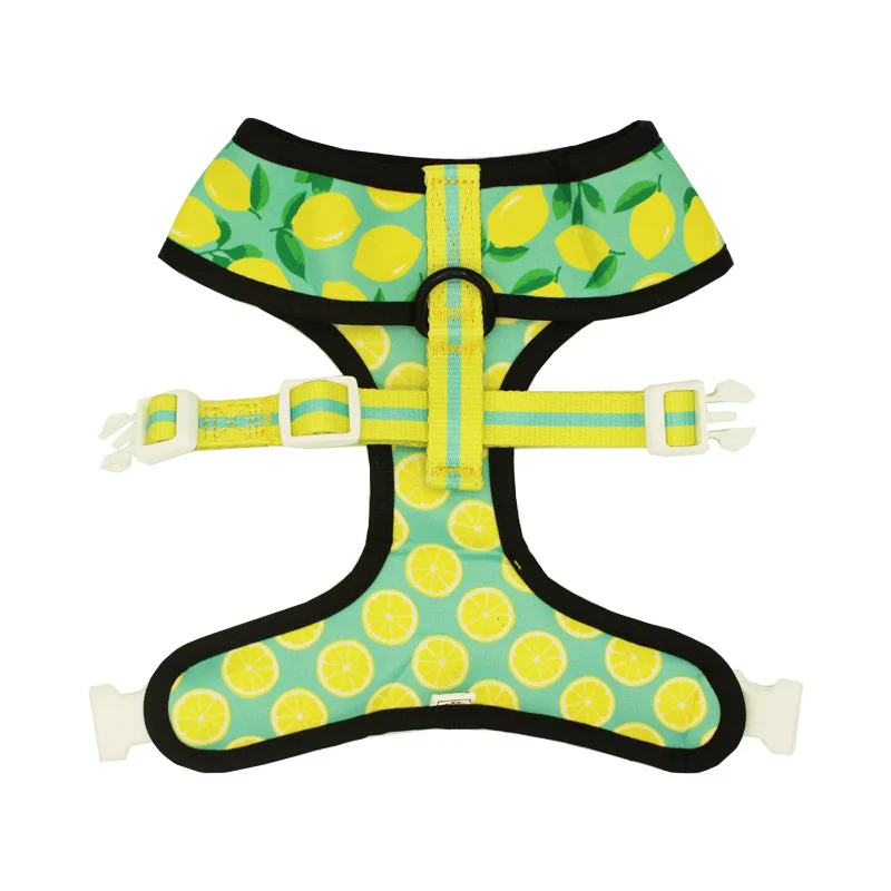Worth The Squeeze Reversible Harness - Image 4