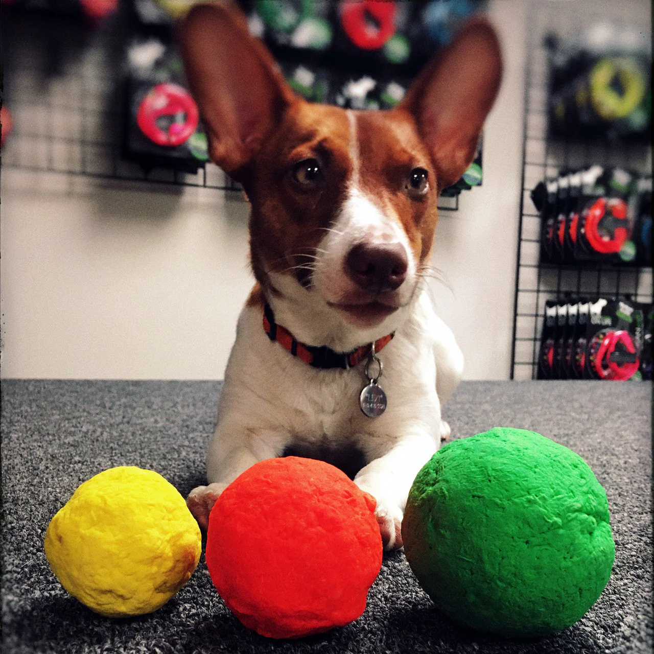 WUNDERball - Best Fetch Toy - Image 6